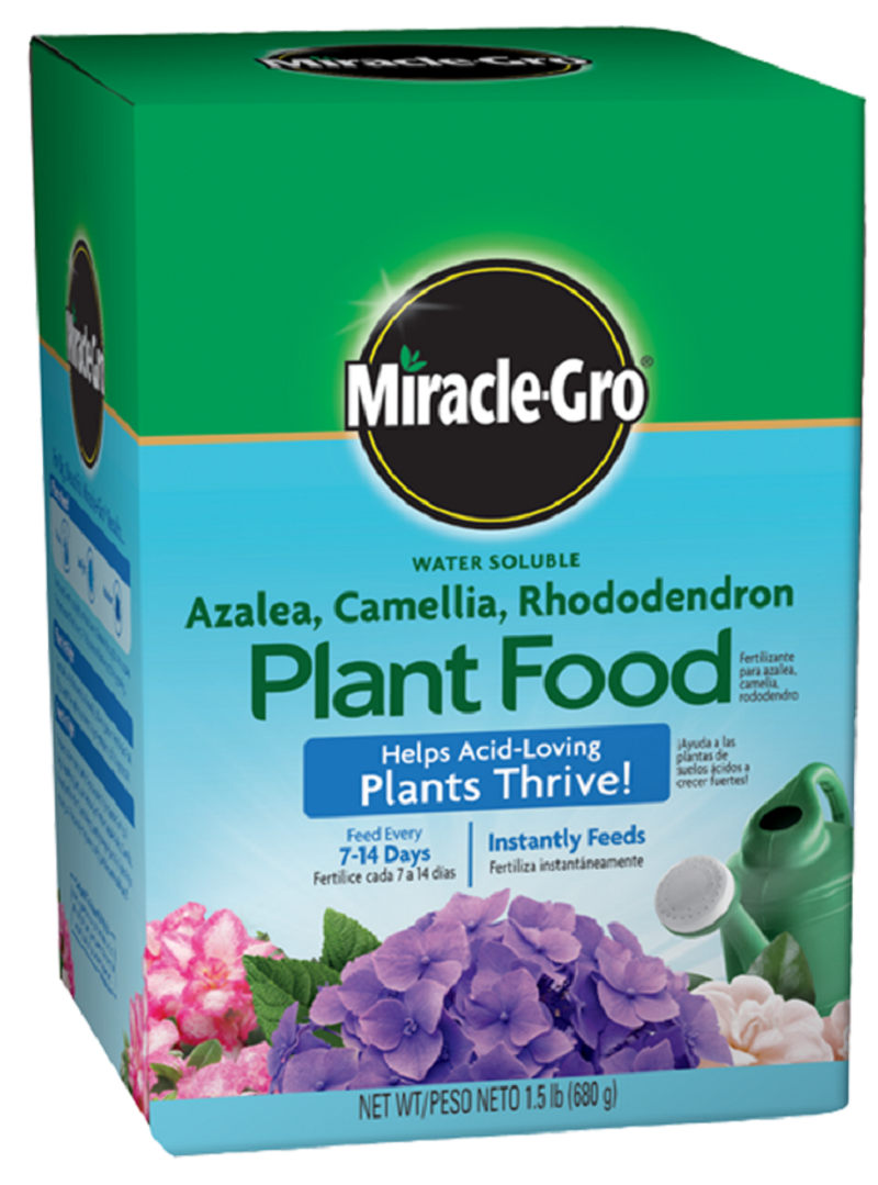 Miracle Gro Azalea, Camellia, and Rhododendron Fertilizer 1.5 lb - Click Image to Close